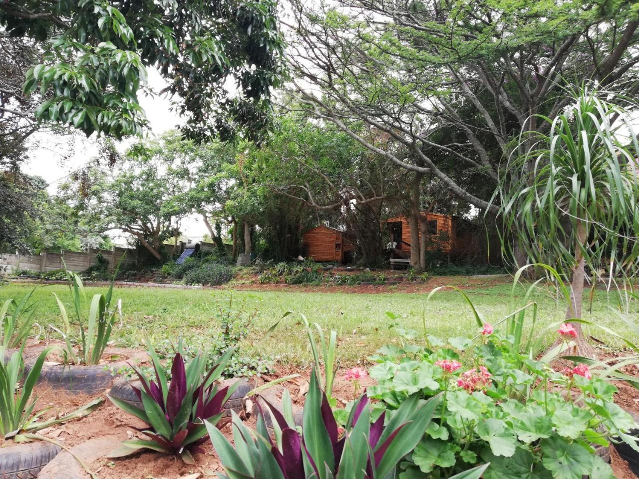 Beach Wood Cottages Shelly Beach Exterior photo