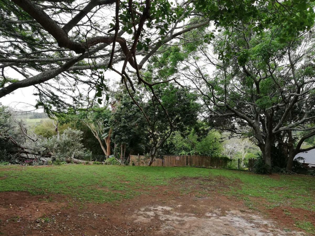 Beach Wood Cottages Shelly Beach Exterior photo